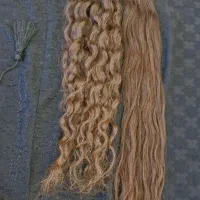 خریدار اصلی مو ..بدون واسطه موهای خود را بفروشید|خدمات آرایشگری و زیبایی|دیشموک, |دیوار