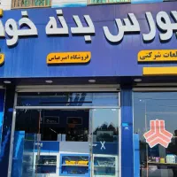 بورس بدنه رنگی و خام