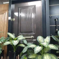 فروشنده خانم و اقا