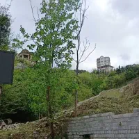 زمین-اربه-کله-رامسر