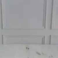 بکدراپ مخصوص عکاسی|دوربین عکاسی و فیلمبرداری|دزفول, |دیوار