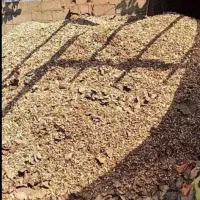 پوست بادام زمینی