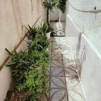 اجاره آپارتمان ۸۰ متری ۱ خوابه طبقه ۲ در قیام دشت