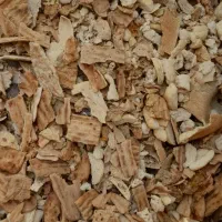 نون خشک فرداعلاتمیز