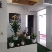 اجاره کوچه راهنمایی رانندگی|اجارهٔ خانه و ویلا|مرودشت, علی‌آباد‎|دیوار