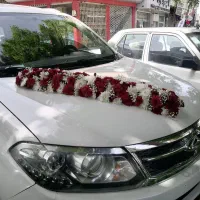 اجاره ماشین عروس|خودرو اجارهای|ورامین, ورامین|دیوار