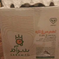 تخم مرغ کارتنی