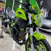 بلنتا (z249) در حد خشک