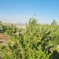 باغ ،باغچه (انجم اباد)|فروش زمین و ملک کلنگی|رباط‌کریم, انجم آباد|دیوار