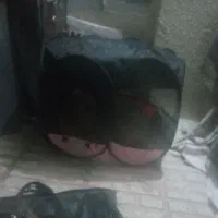 سگ پا کوتاه شیطان و بازی گوش قیمت 3500|سگ|الوند, |دیوار