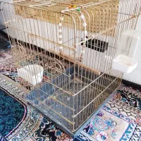 قفس پرنده