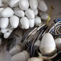 اجاره ریسه بلوطی  هفت رنگ
