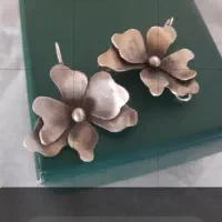 گوشواره نقره