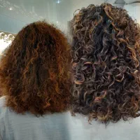 فرمو وفردائم،فردایمی،فرشش ماهه خدمات وآموزش