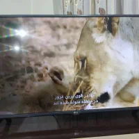 فروش ال ای دی42اینچ سالم بدون ایراد وپلمپ