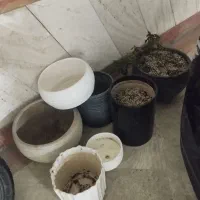 گلدان سفالی