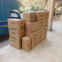 پخش عمده نوار پنبه ریز مولپد مولفیکس هانی لایف ببم