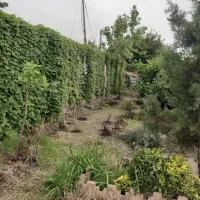 زمین سند تک برگ ۶۳۶ بنا ۷۵ نقد یا تهاتر|فروش خانه و ویلا|کرج, فاز ۳ گوهردشت|دیوار