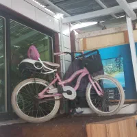 دوچرخه صورتی|دوچرخه، اسکیت، اسکوتر|صومعهسرا, |دیوار