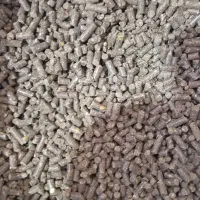 پلیت یا کنسنتره دامی