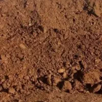 کود حیوانی گوسفند