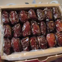 فروش خرمای کبکاب دشتستان از دست کشاورز