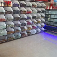 شرایط  بیمه  ندار  ماه یانه  پرداخت میشه