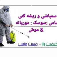 سمپاشی ساس سوسک موش سم پاشی موریانه کَنه ۱۰۰٪ضمانت