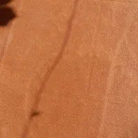 موکت کاملا سالم و شسته شده