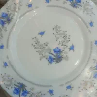 آرکوپال جدید فله طرح چینی (سرای اپال)|ظروف سرو و پذیرایی|قم, عربستان|دیوار