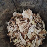 نان خشک تمیز