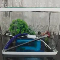 آکواریوم و لوازم