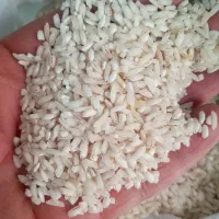 برنج هاشمی و سرلاشه هاشمی|خوردنی و آشامیدنی|رباطکریم, نصیرشهر|دیوار