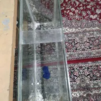 اکواریوم|ماهی|تویسرکان, |دیوار