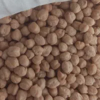 نخود تازه مرغوب و خوش پخت