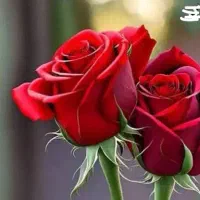 استخدام پرستار