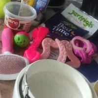 پامر|سگ|چهارباغ, |دیوار