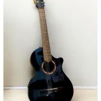 گیتار سایلنت Fishman