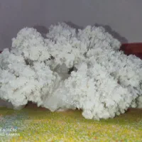 سنگ نمک زیبا دکوری معاوضه بامرغ عشق/فنچ یا پرنده