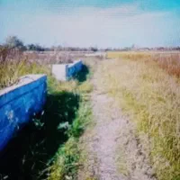 150مترزمین خ سرو. زمین متراژ بالا کلاردشت(لاهو)