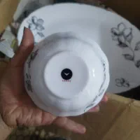 سرویس آرکوپال وسینی