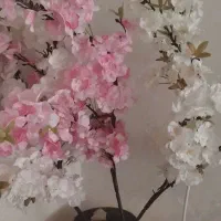 گل و گلدان|صنایع دستی و سایر لوازم تزئینی|تهران, افسریه شمالی|دیوار