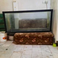 اکواریوم
