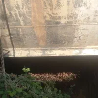 مخزن ۶۰۰۰۰ لیتری ۸میل ساخت خارج|ماشینآلات صنعتی|خدا آفرین, |دیوار