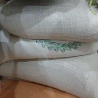گندم بذری