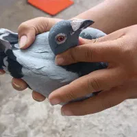 یک اتم گرفتنی