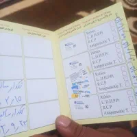 یک سگ پاکوتاه خانگی پامر|سگ|صوفیان, |دیوار