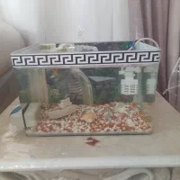 آکواریوم شیشه خم همراه ۲۰ ماهی و تزئینات
