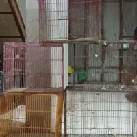 قفس|لوازم جانبی حیوانات|باوی, |دیوار