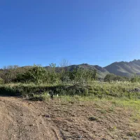 زمین کشاورزی و باغ|فروش زمین و ملک کلنگی|قروه, |دیوار